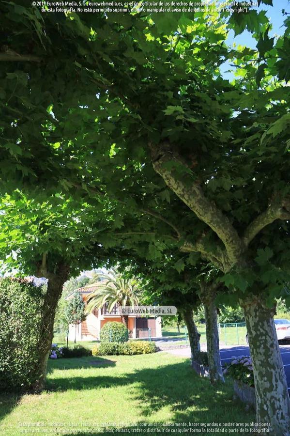 Onís El Puentin Del Sella Con Wifi Y Parking Gratuito 아파트 외부 사진